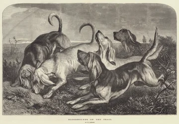 Bloodhounds on the Trail